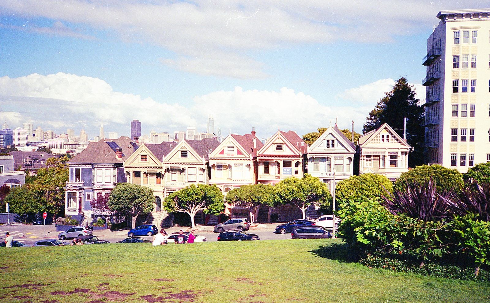 Painted Ladies
